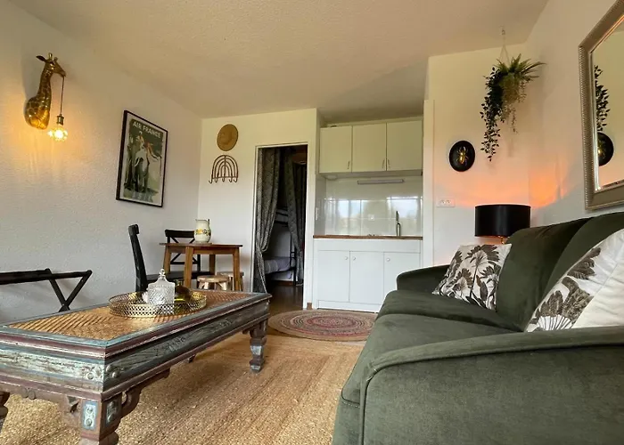 De Avec Terrasse Daire